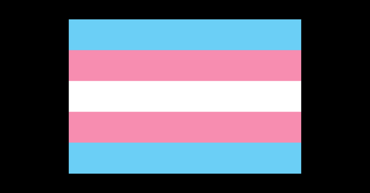 bandeira transgênero