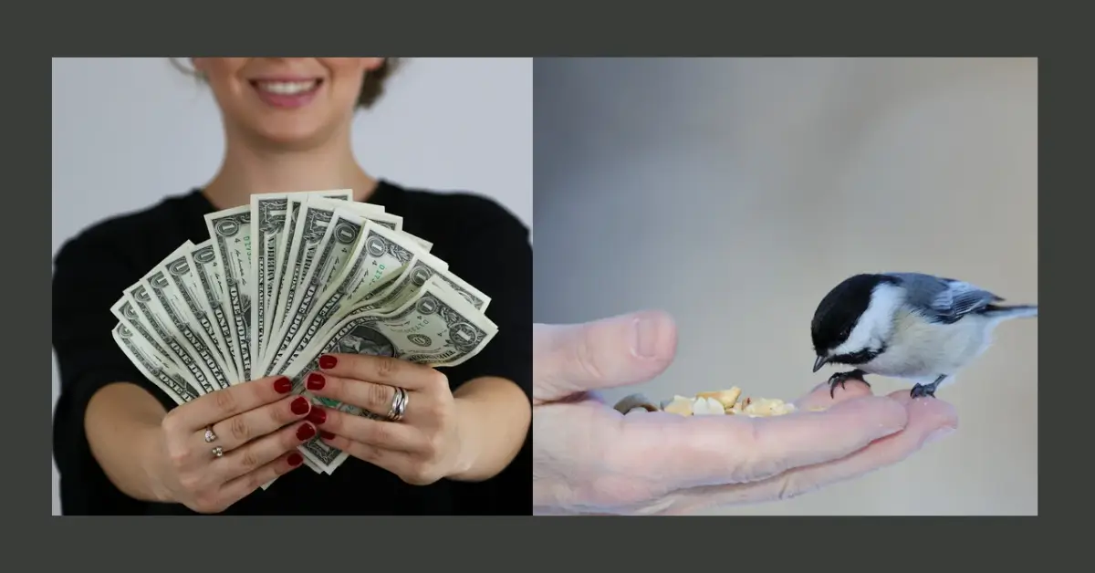 Imagem relacionada ao conteúdo: A Ordem da Busca Muda o Destino